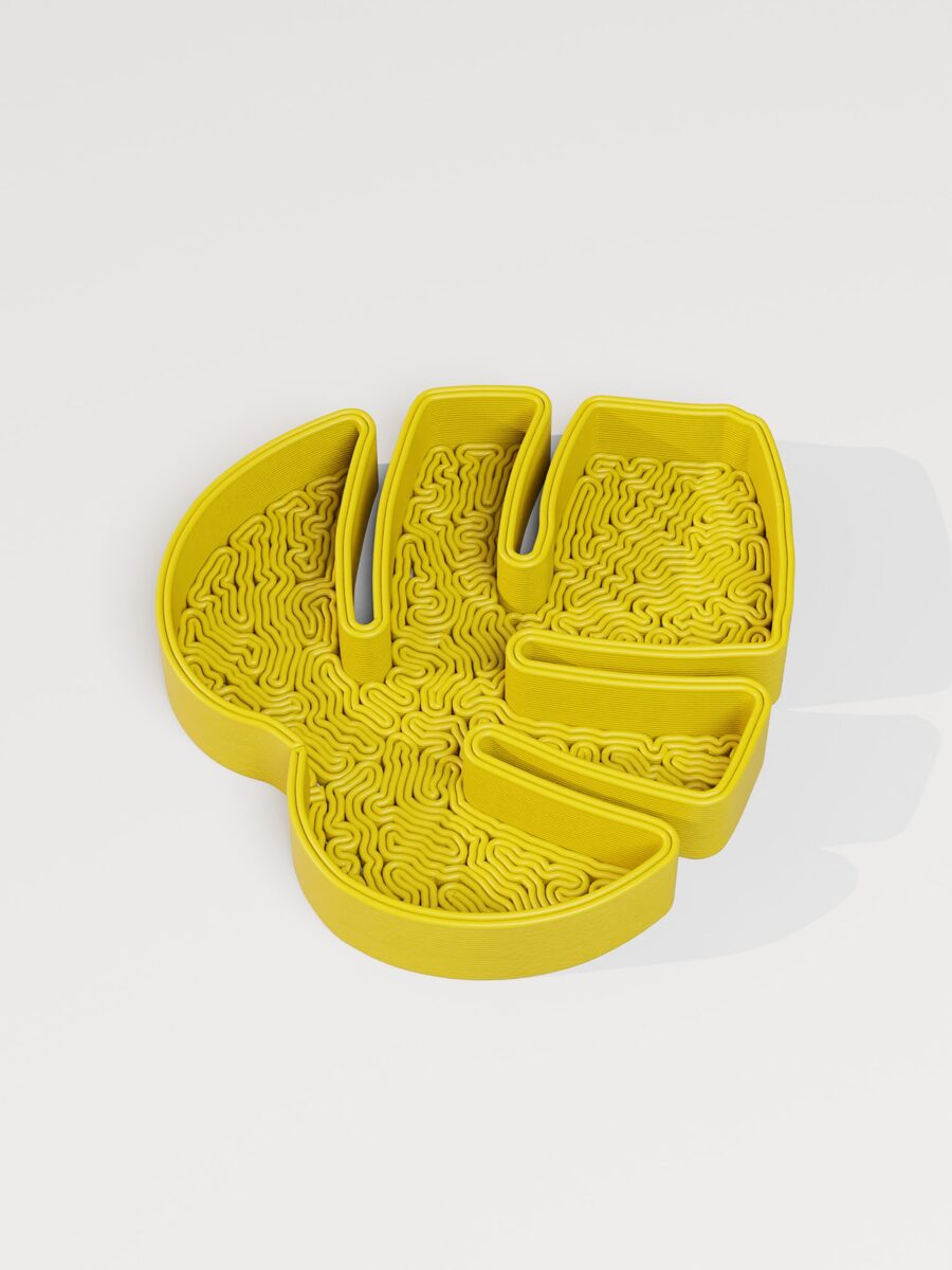 Monstera Leaf Jewelry Tray