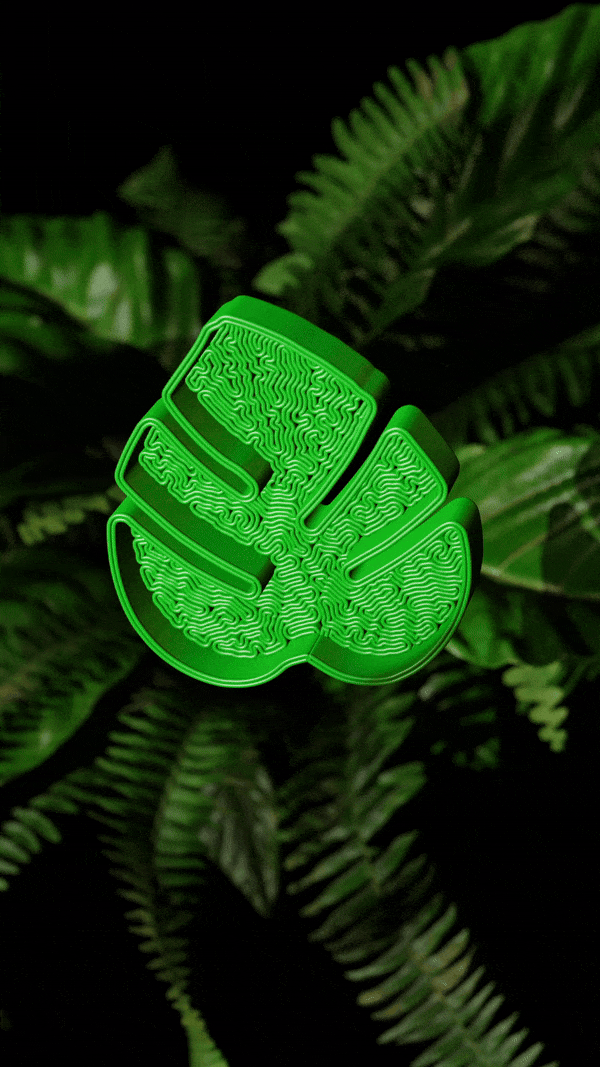 Monstera Leaf Jewelry Tray