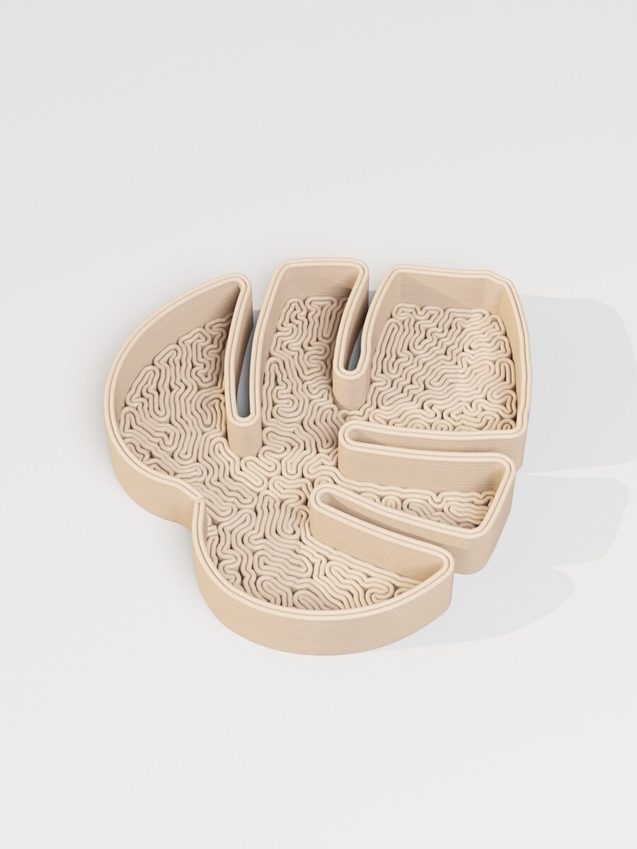 Monstera Leaf Jewelry Tray - OzFDM