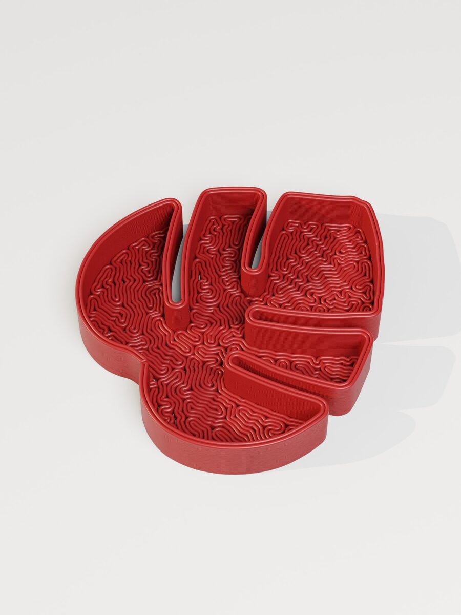 Monstera Leaf Jewelry Tray