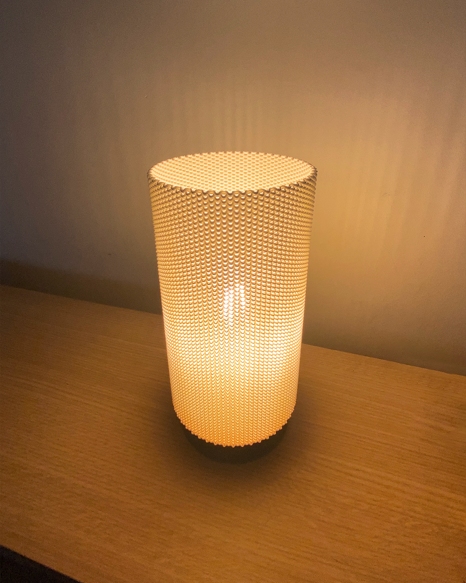 Eva Adaptive Lampshade