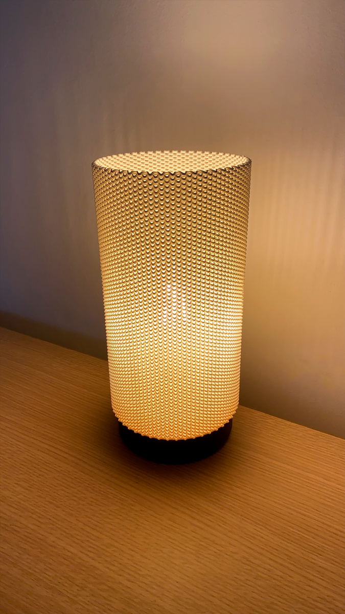 Eva Adaptive Lampshade