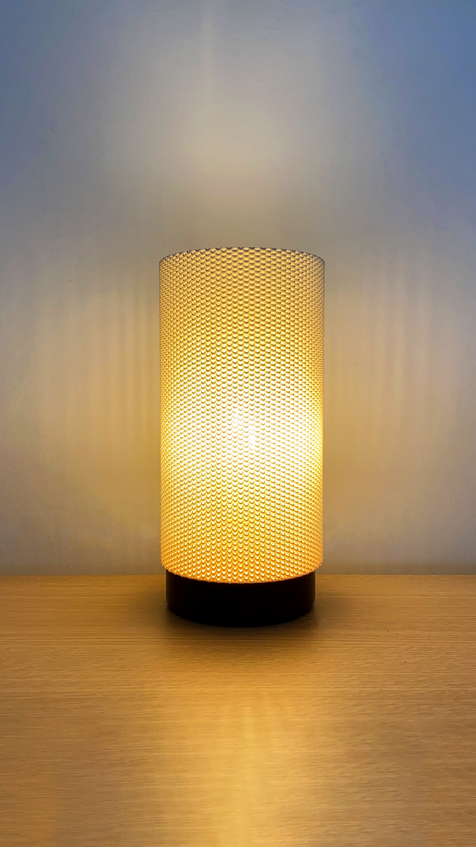 Eva Adaptive Lampshade