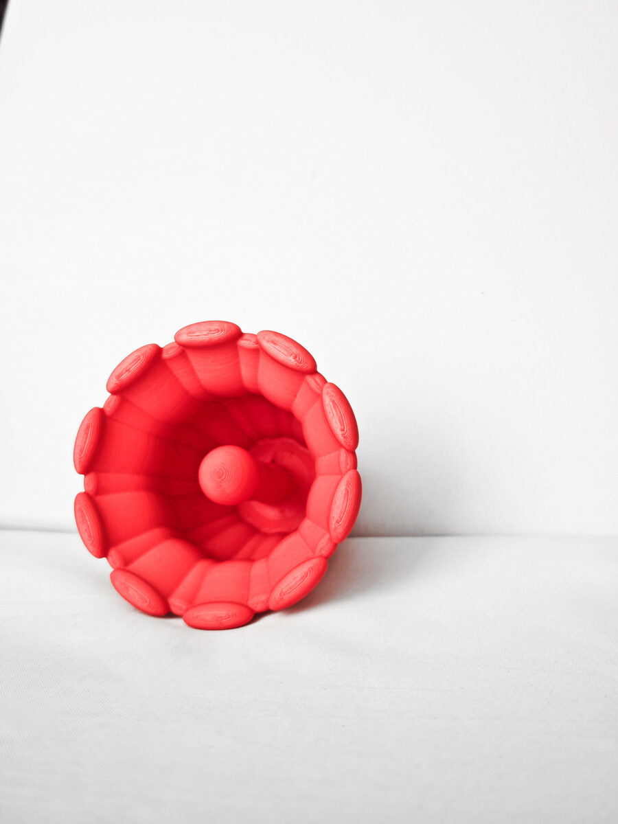 Cruel Coral