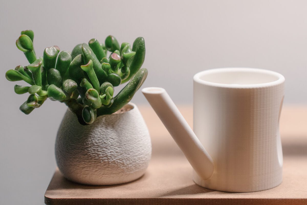 Little Watering Can Planter Set - OzFDM