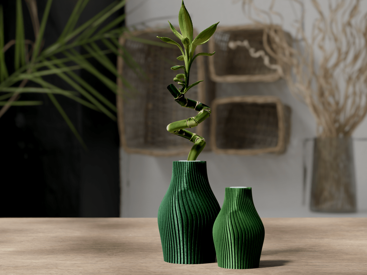 Lucky Bamboo Vase - OzFDM