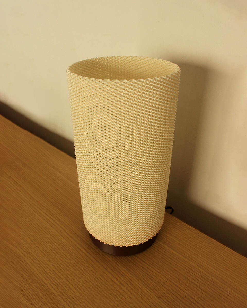 Eva Adaptive Lampshade