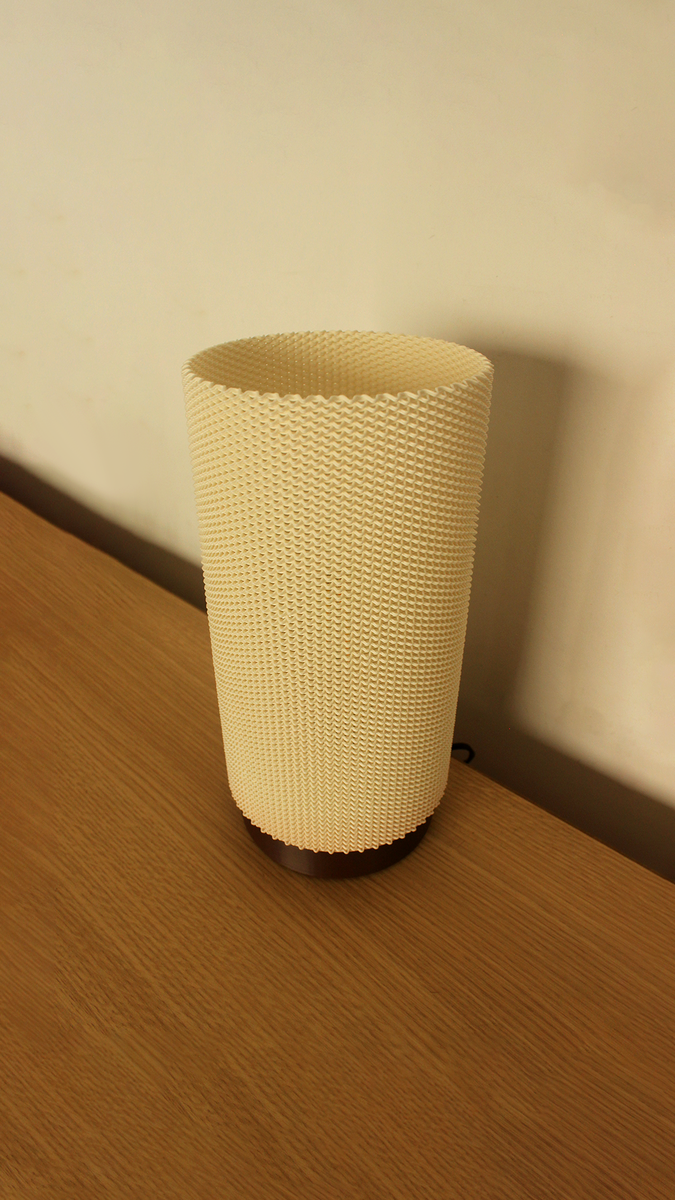 Eva Adaptive Lampshade