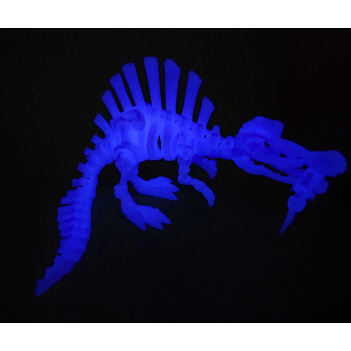 Glow in the Dark PLA dinosaur skeleton print by SeaMonkey Crafts, glowing blue in the dark