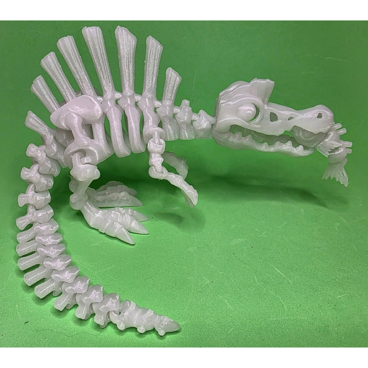Glow in the Dark PLA dinosaur skeleton print by SeaMonkey Crafts, in daylight