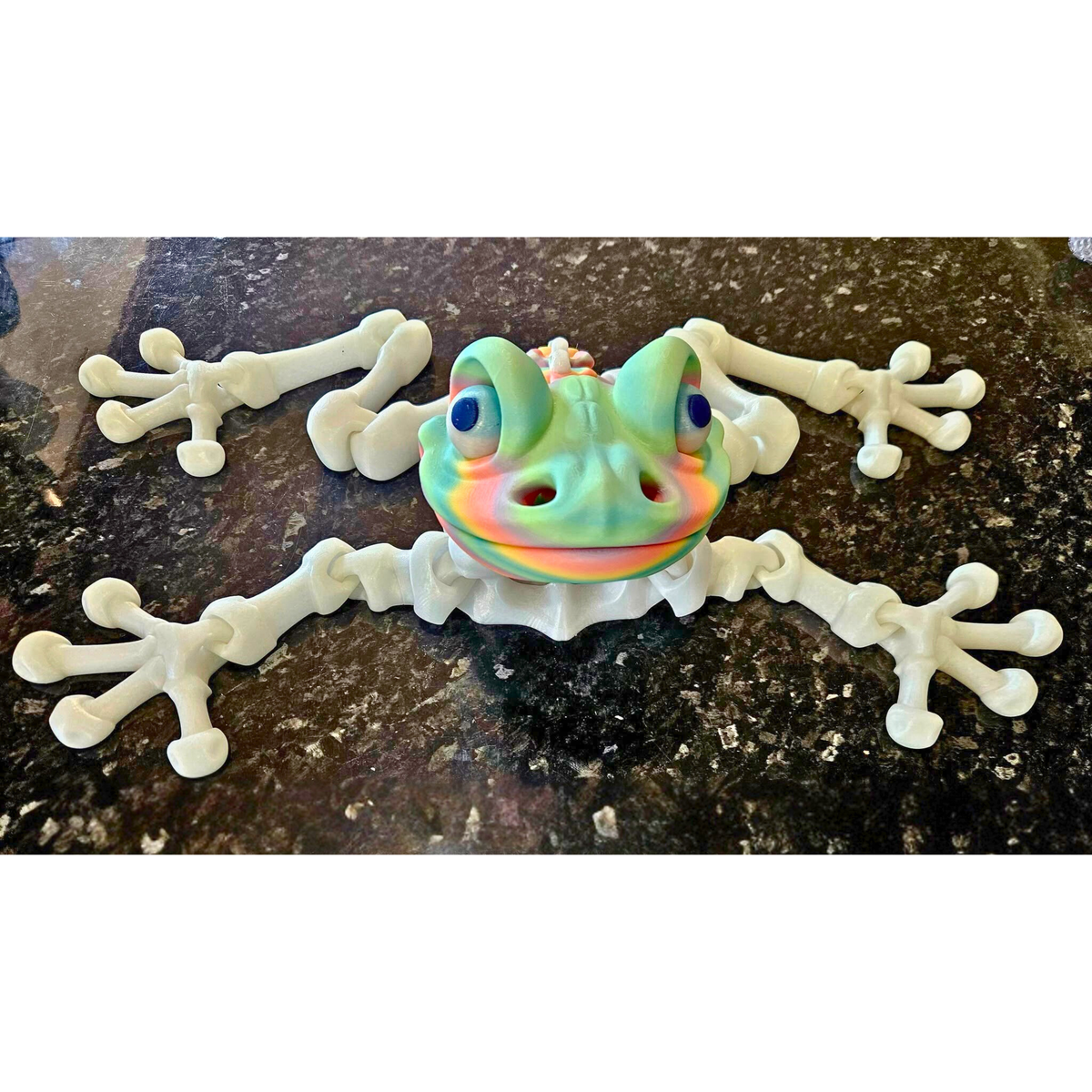 Articulated frog printed in PLA Glow in the Dark Rainbow by SeaMonkey Crafts, in daylight