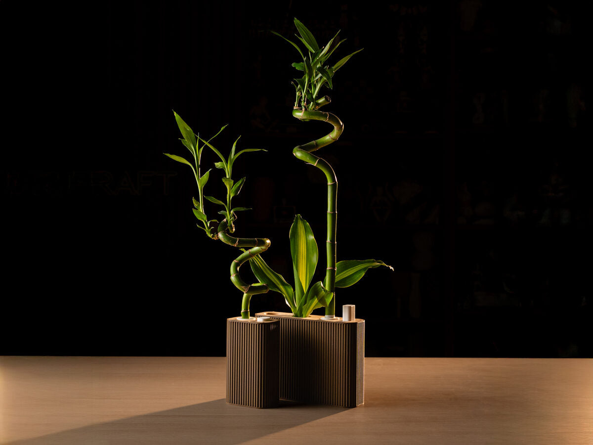Parametric Bamboo Planter