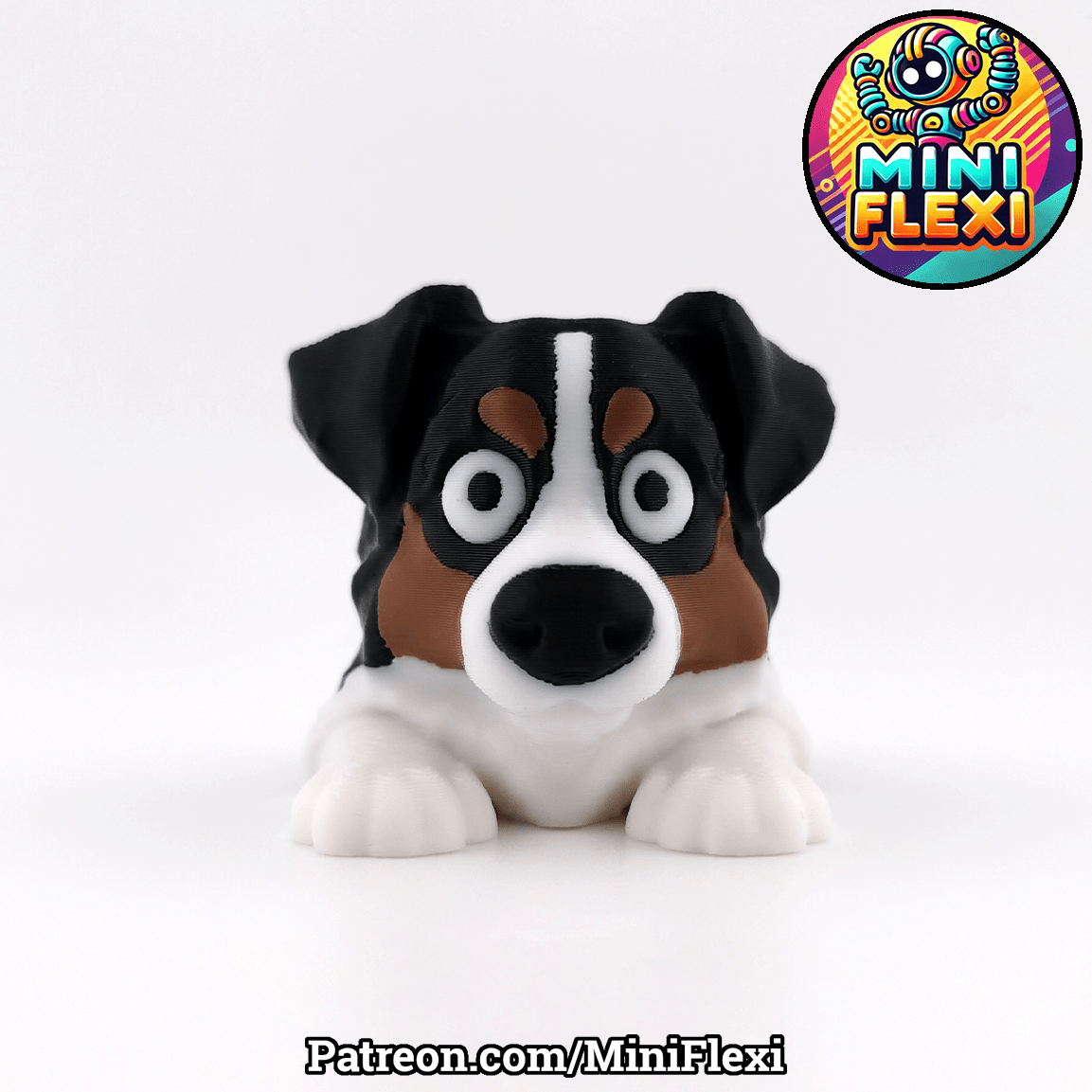 Flexi Dog - Australian Shepherd - OzFDM