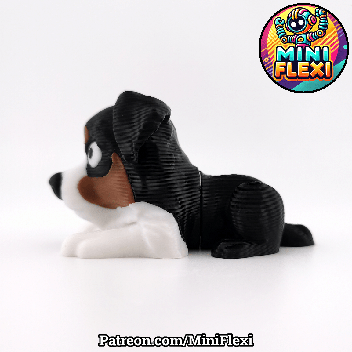 Flexi Dog - Australian Shepherd - OzFDM