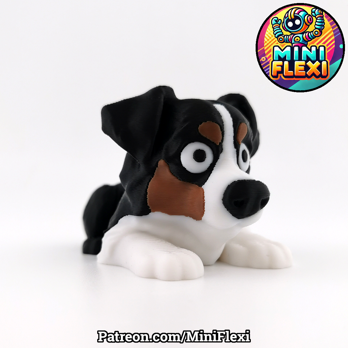 Flexi Dog - Australian Shepherd - OzFDM