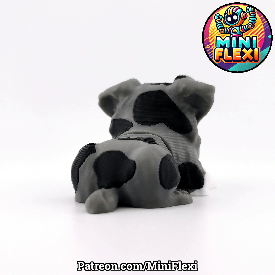 Flexi Dog - Australian Shepherd - OzFDM