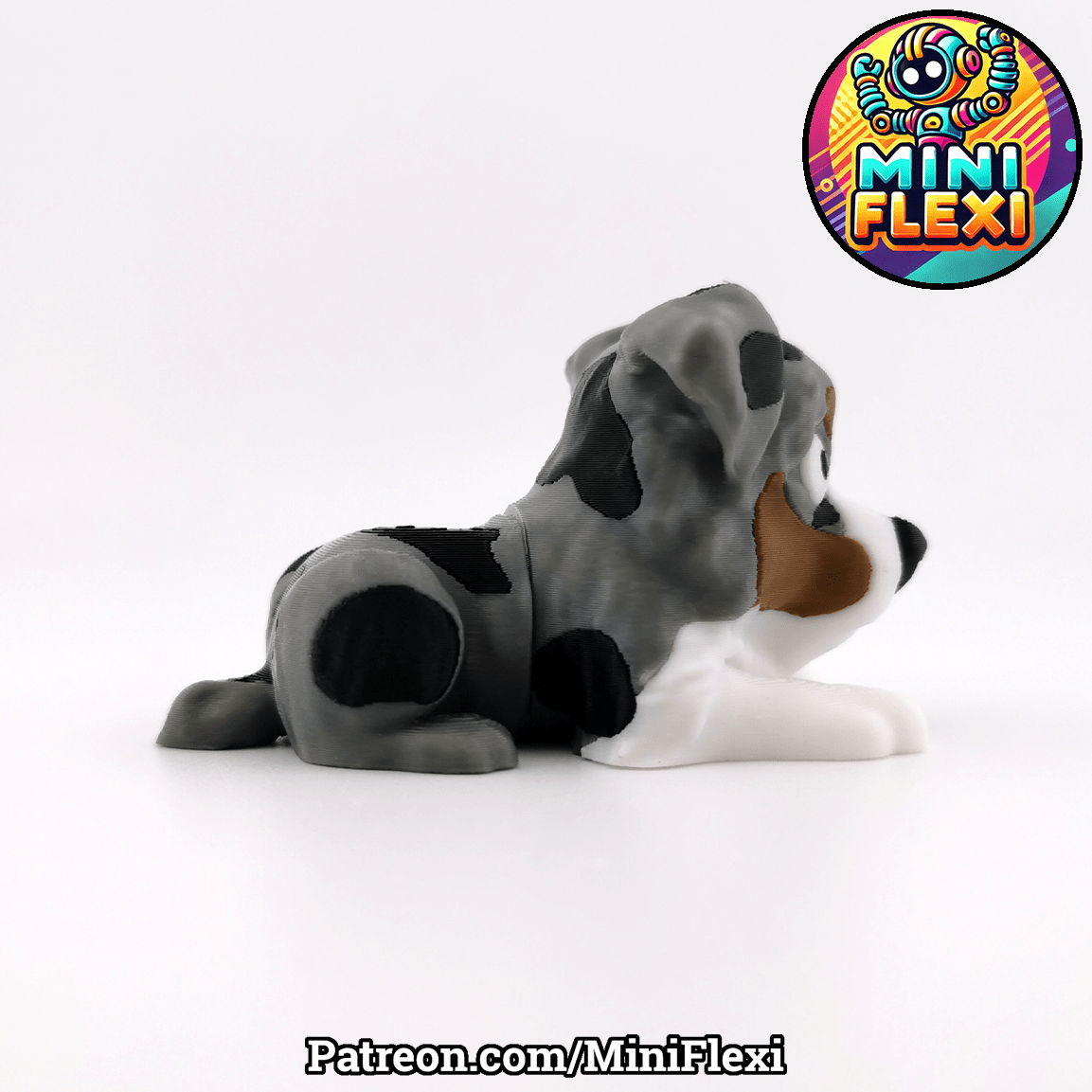 Flexi Dog - Australian Shepherd - OzFDM