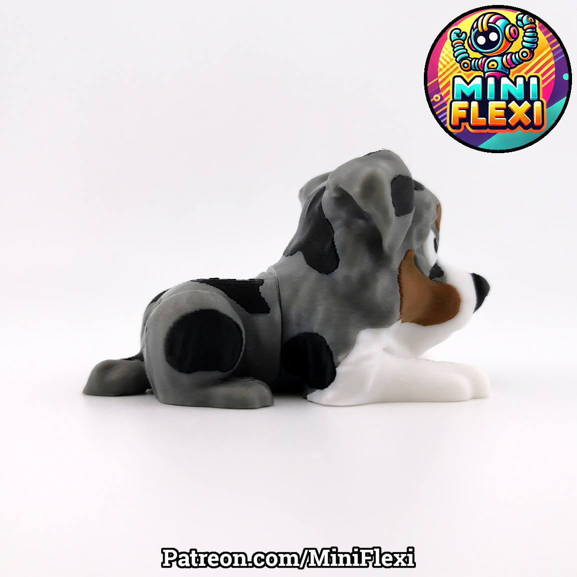 Flexi Dog - Australian Shepherd