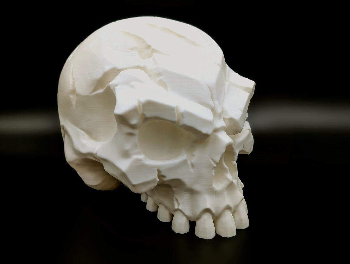 Battle-Scarred Skull - Dark Decor - OzFDM