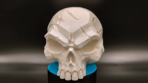 Battle-Scarred Skull - Dark Decor