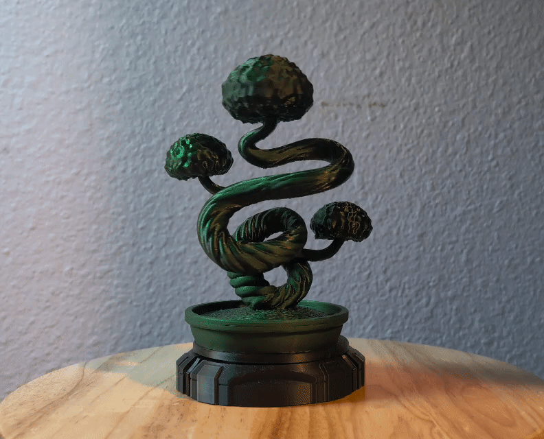 Twisted Spirit Bonsai Tree