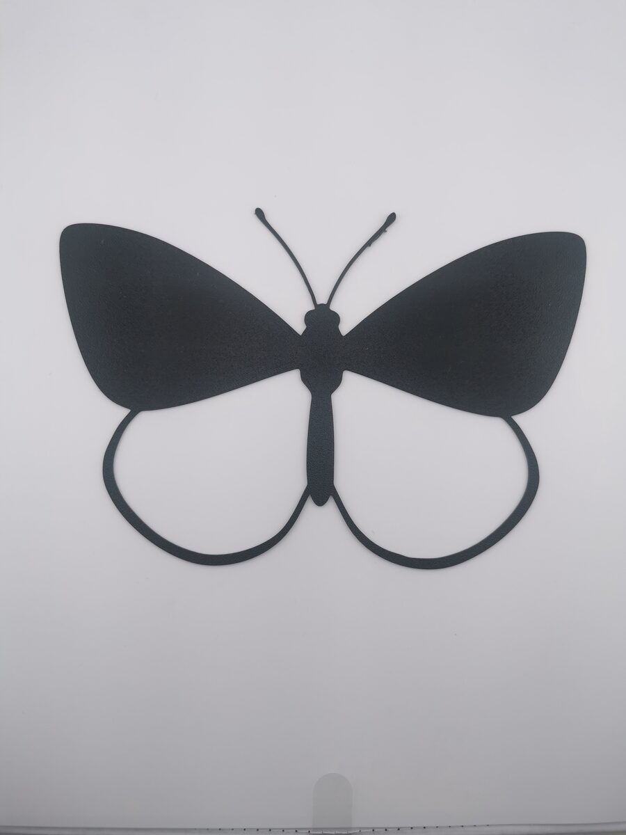 2d Butterfly