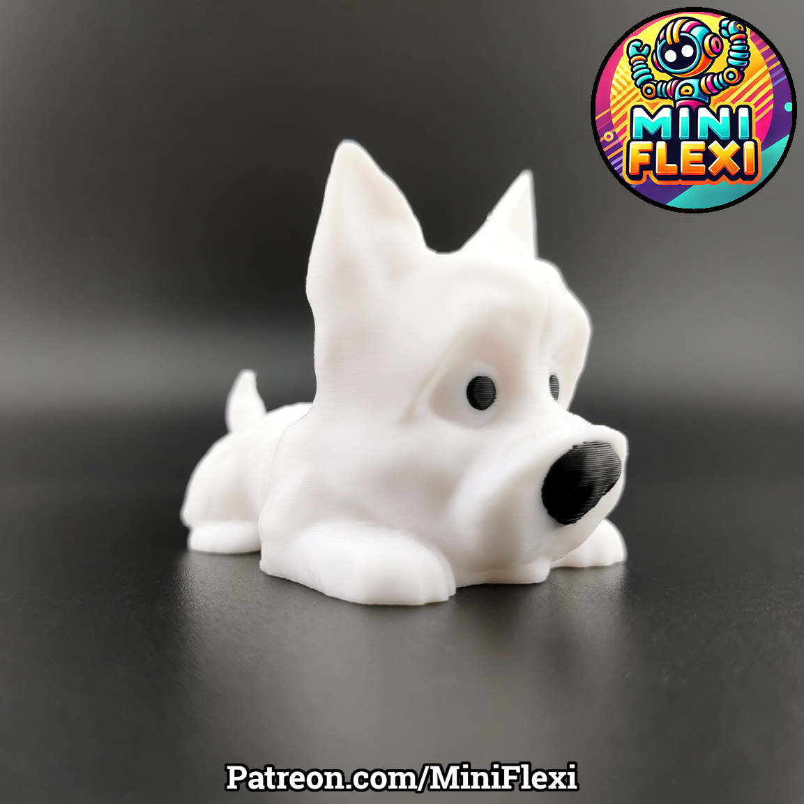 Flexi Cairn Terrier Dog