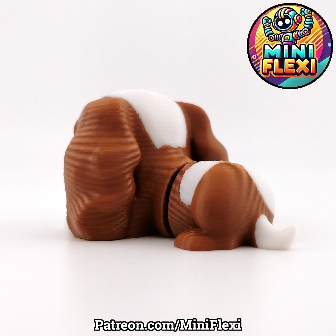 Flexi Dog - Cavalier King Charles Spaniel