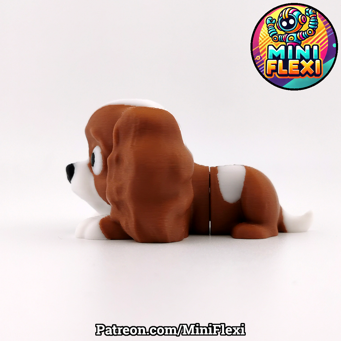 Flexi Dog - Cavalier King Charles Spaniel