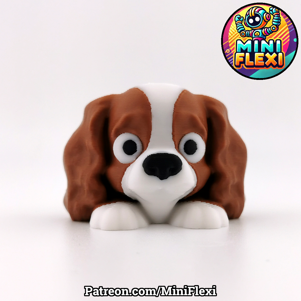 Flexi Dog - Cavalier King Charles Spaniel