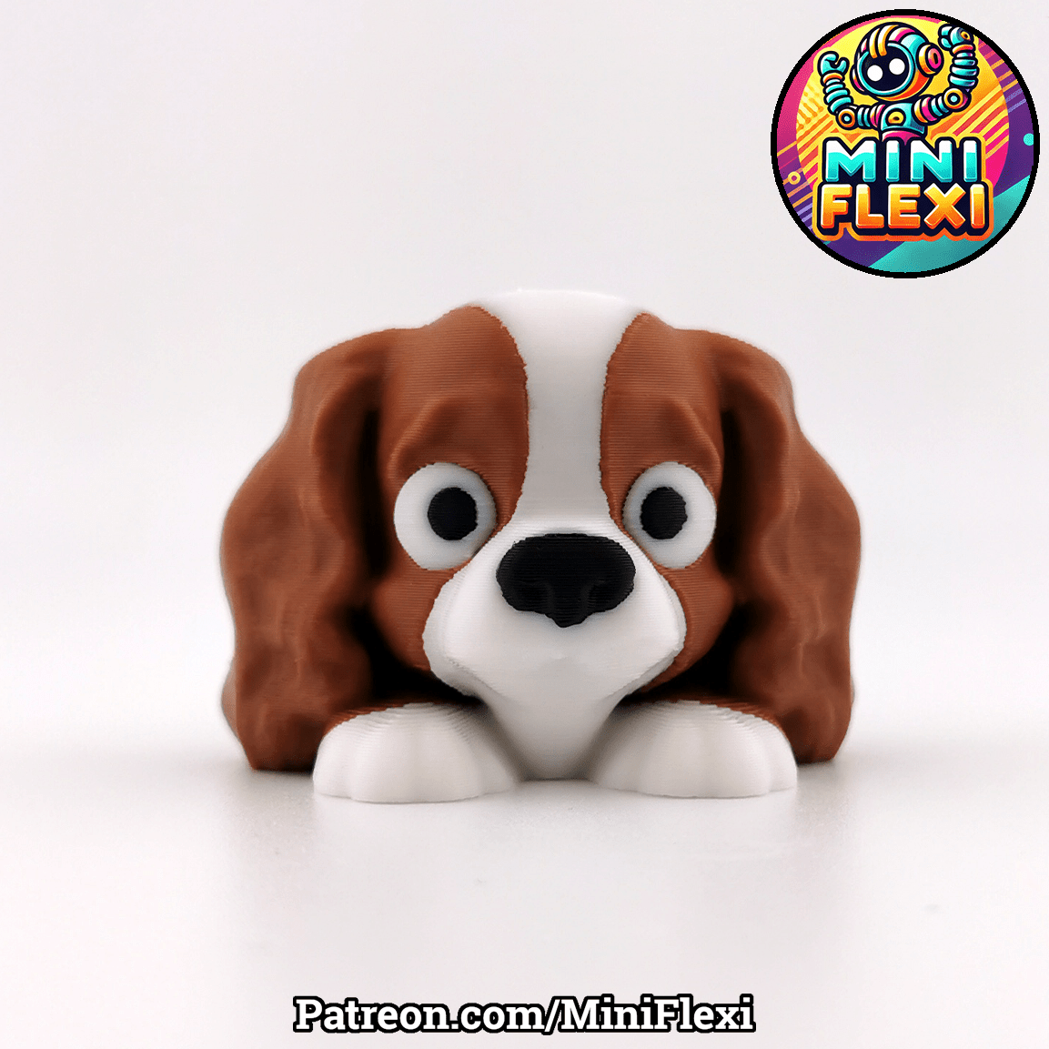 Flexi Dog - Cavalier King Charles Spaniel - OzFDM