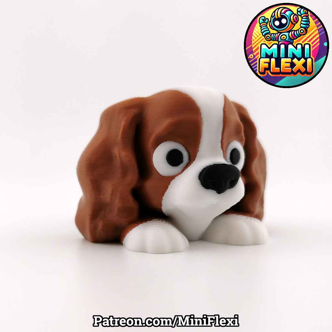 Flexi Dog - Cavalier King Charles Spaniel