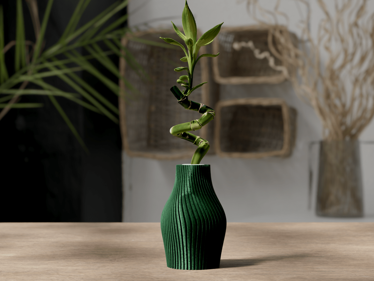 Lucky Bamboo Vase - OzFDM
