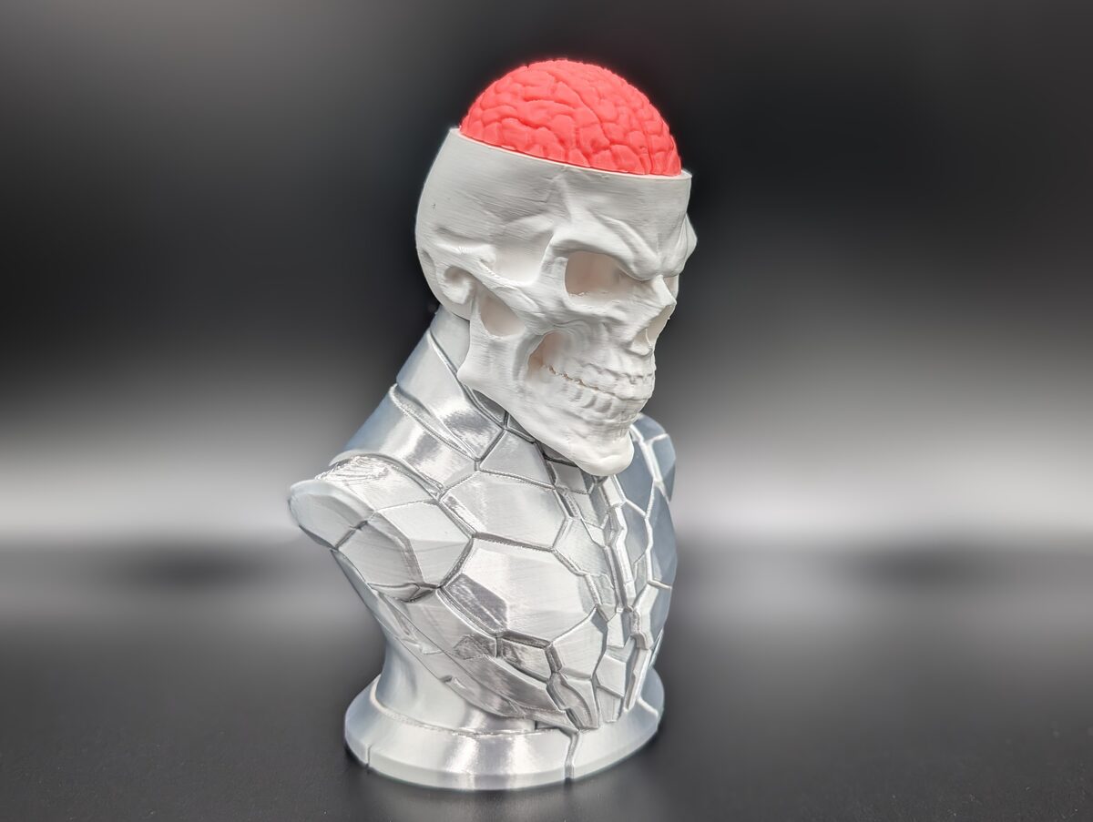 Craniumortis - No AMS / Multi-Part Bust