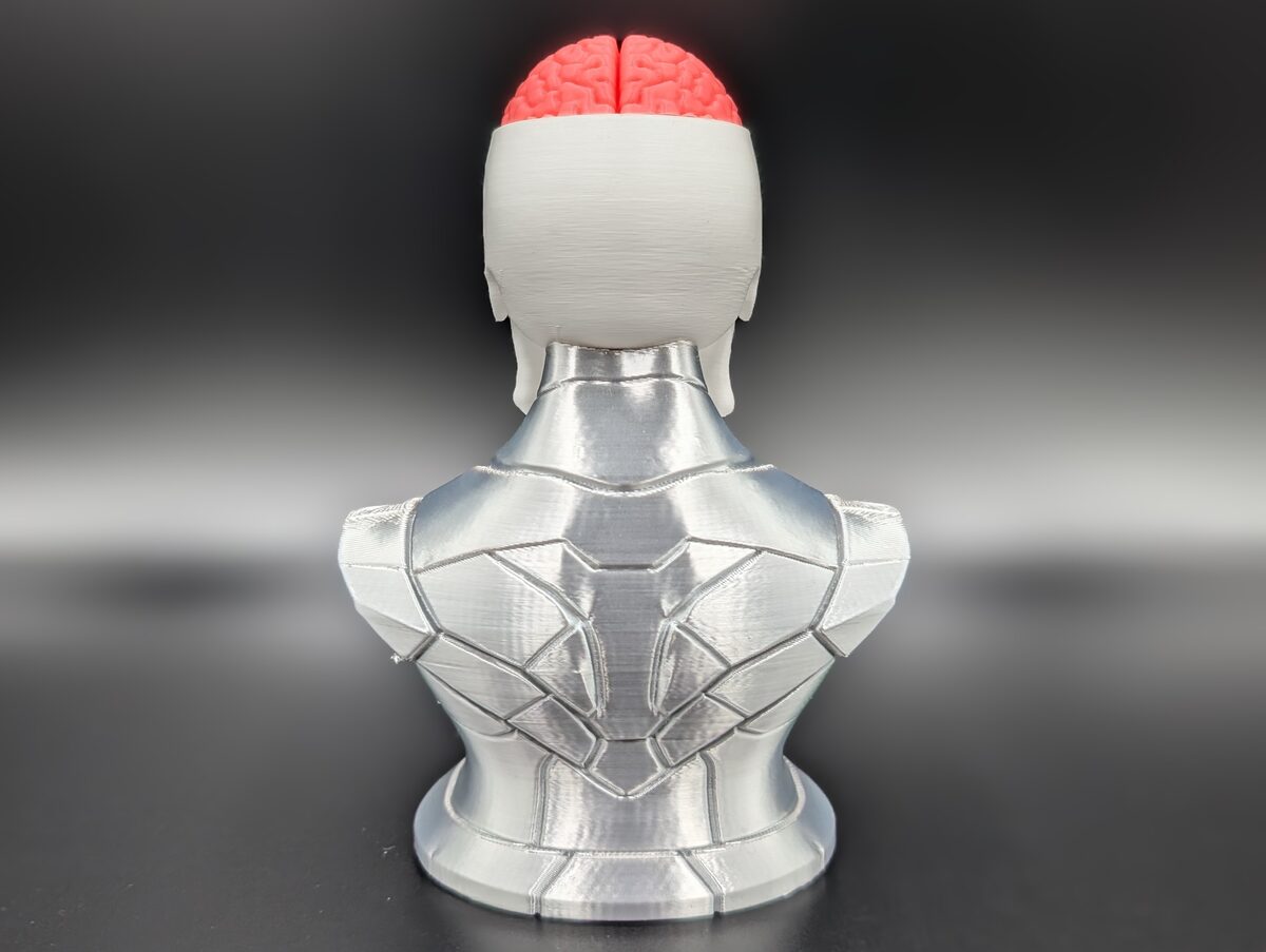 Craniumortis - No AMS / Multi-Part Bust - OzFDM