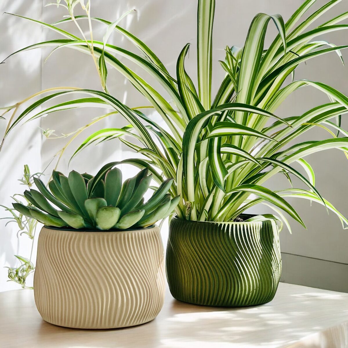 Dolce | Indoor Planter