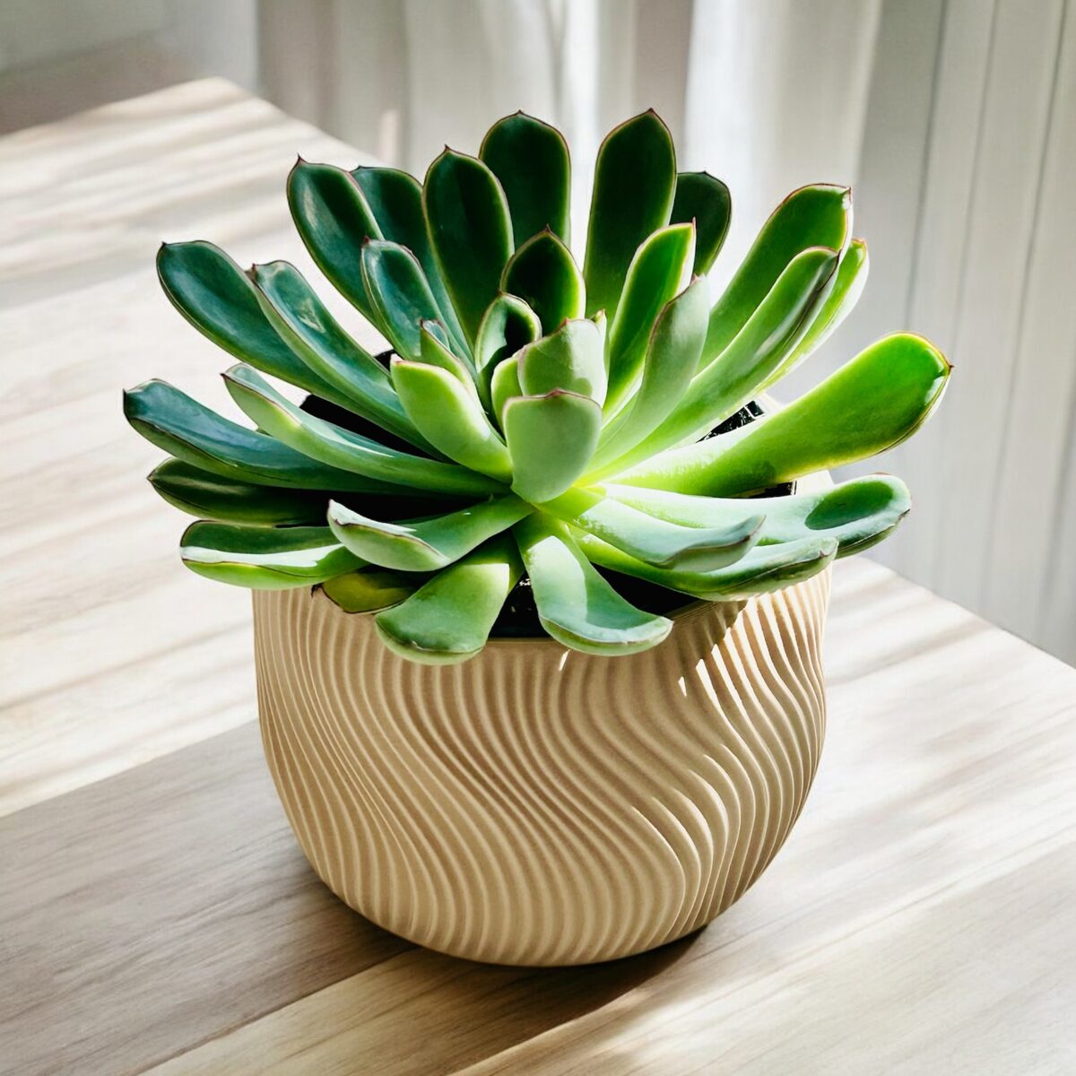 Dolce | Indoor Planter - OzFDM