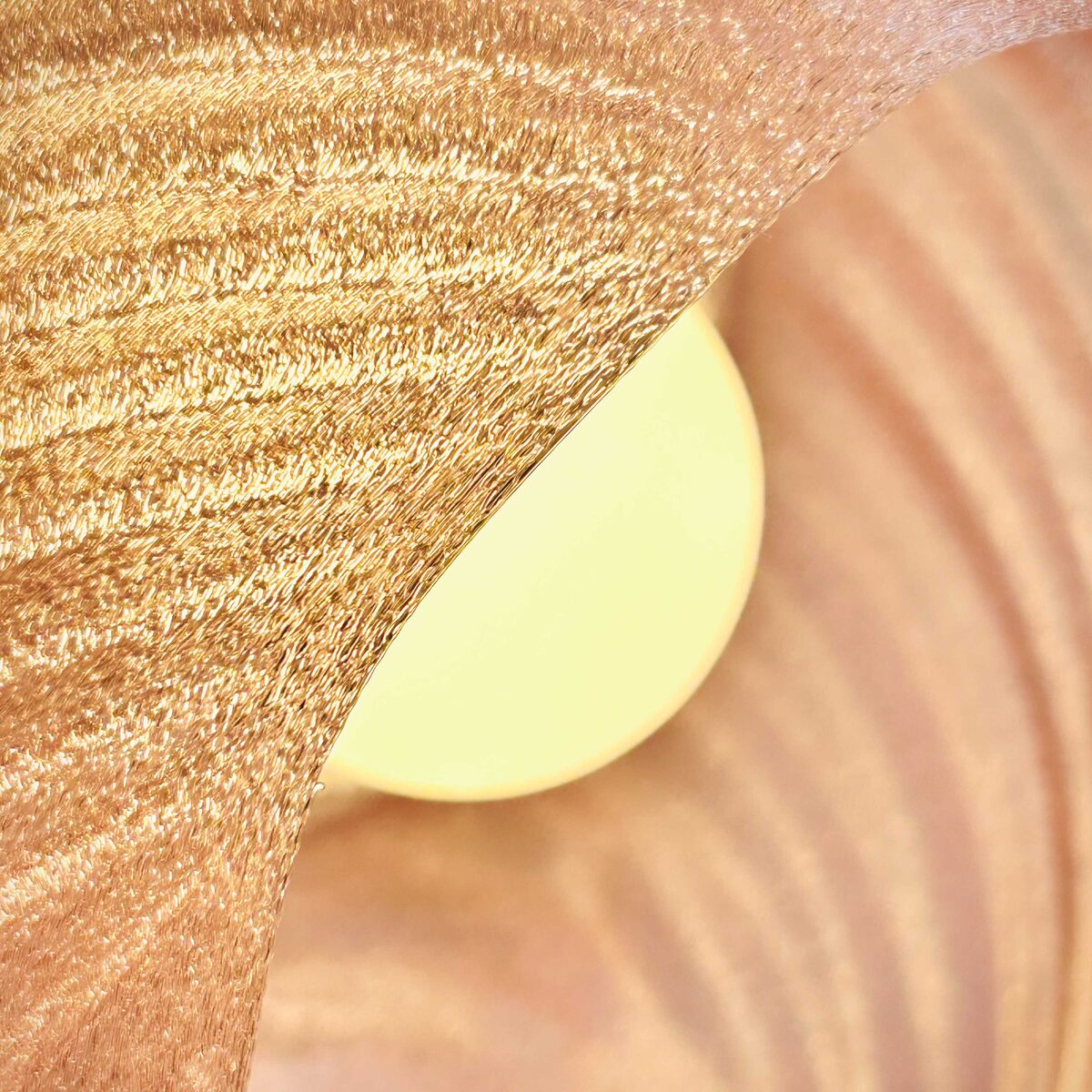 Draped Elegance | Wall Light