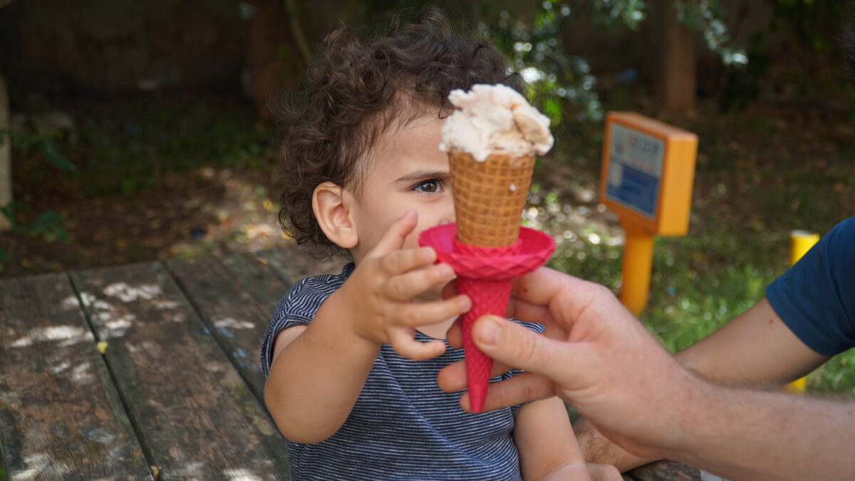 Icee Ice Cream Holder