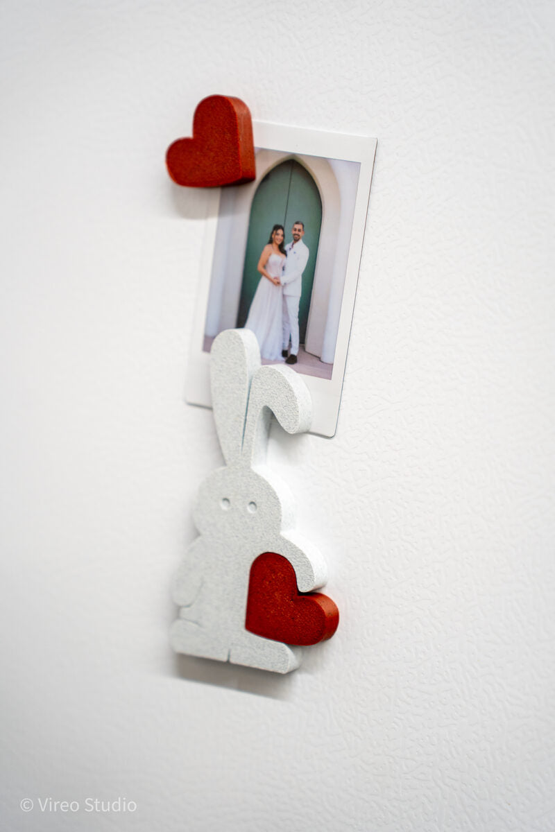 Valebunny | Magnetic Bunny & Heart Valentine Display + Fridge Magnets
