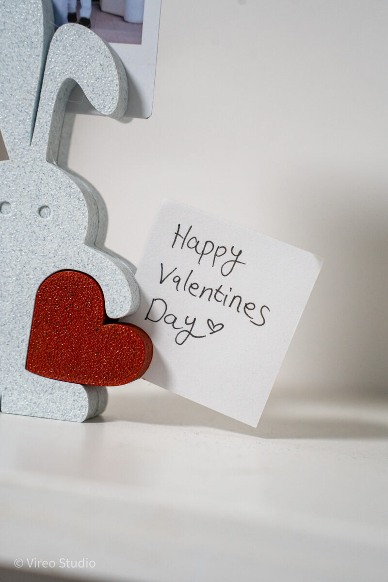 Valebunny | Magnetic Bunny & Heart Valentine Display + Fridge Magnets
