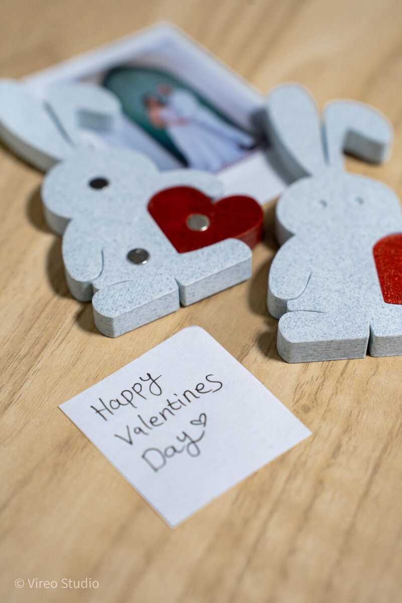 Valebunny | Magnetic Bunny & Heart Valentine Display + Fridge Magnets