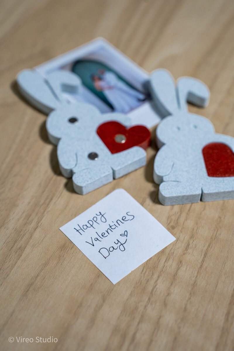 Valebunny | Magnetic Bunny & Heart Valentine Display + Fridge Magnets - OzFDM