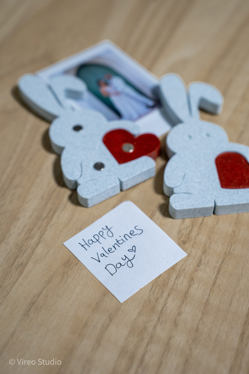 Valebunny | Magnetic Bunny & Heart Valentine Display + Fridge Magnets