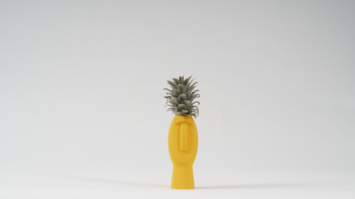 Silent Dude Vase - OzFDM
