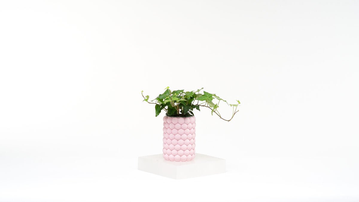 Blob Vase - OzFDM