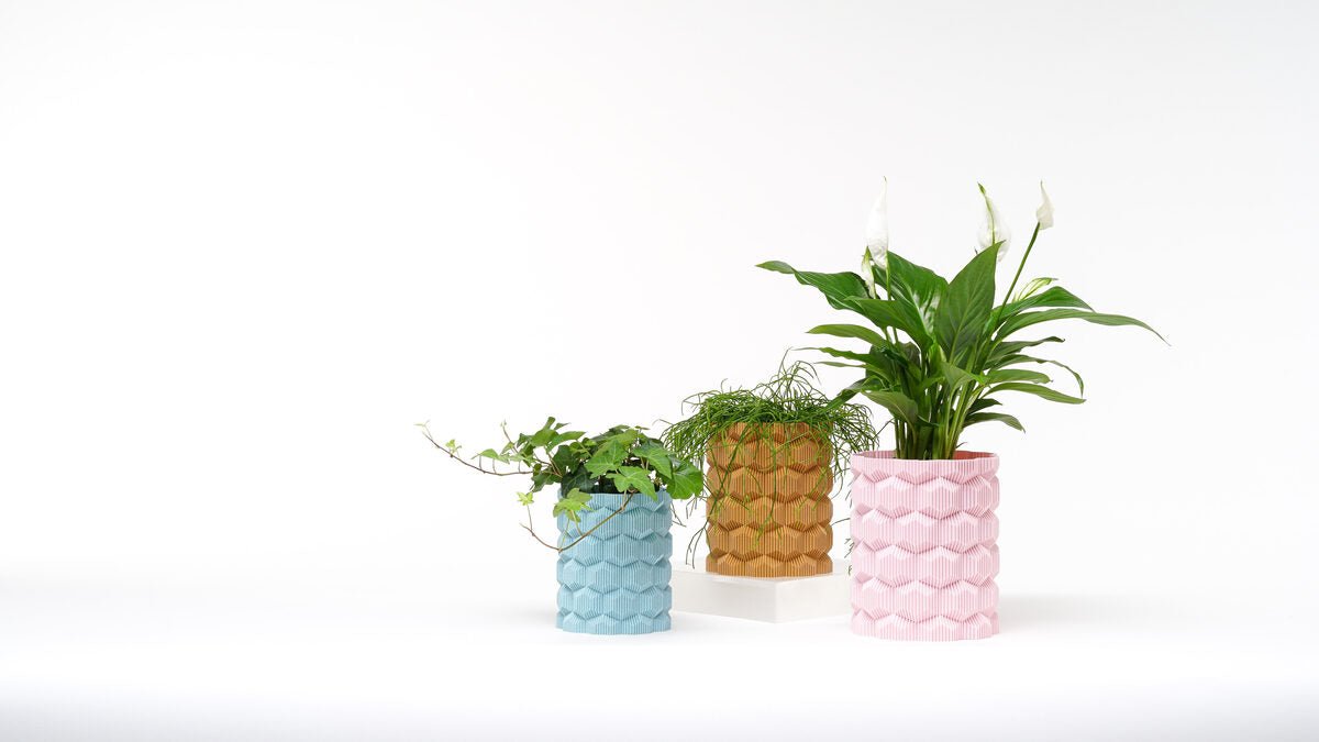 Cubee Vase - OzFDM