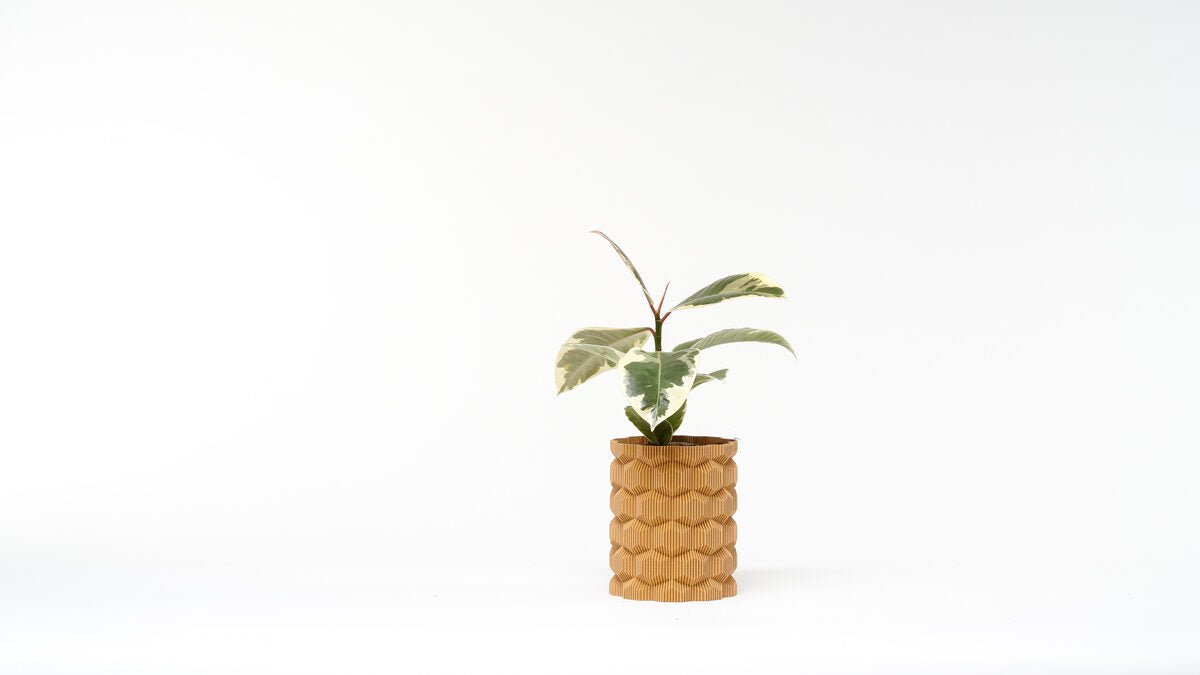 Cubee Vase - OzFDM