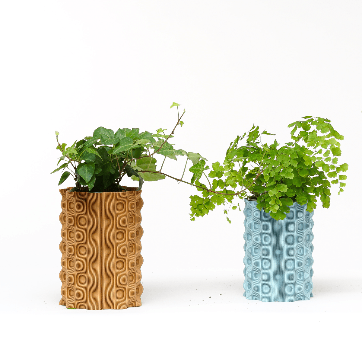 Cosin Vase - OzFDM