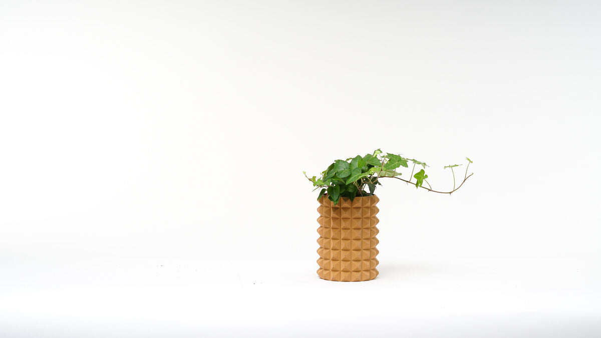 Porcupine Vase